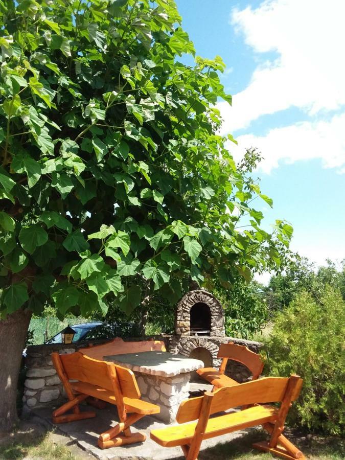 Szentesi Panzio Bed and Breakfast Fertőrákos Exteriör bild