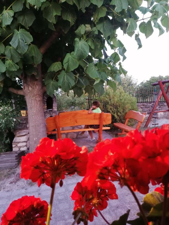 Szentesi Panzio Bed and Breakfast Fertőrákos Exteriör bild