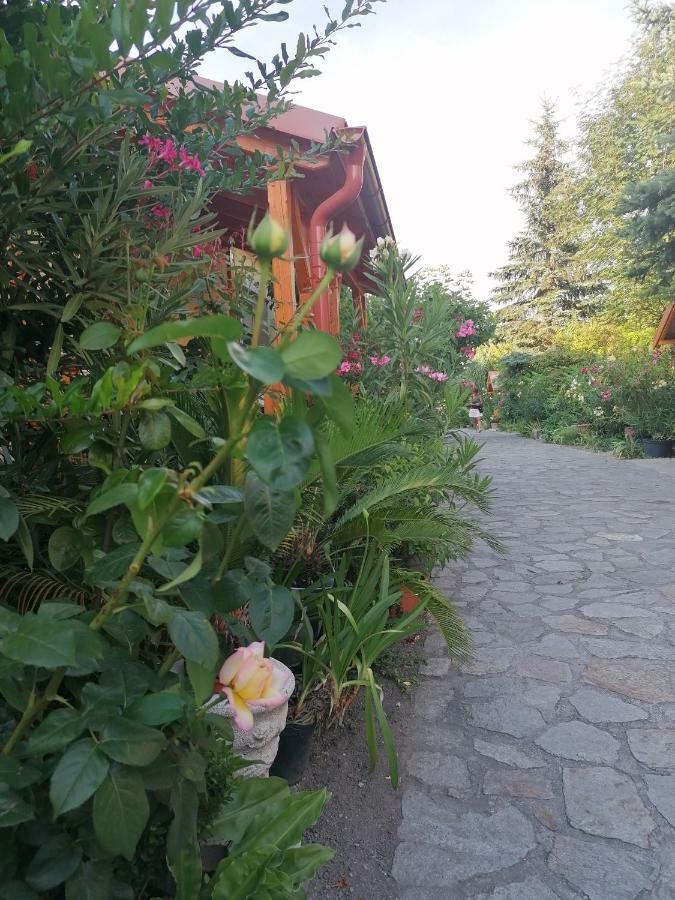 Szentesi Panzio Bed and Breakfast Fertőrákos Exteriör bild
