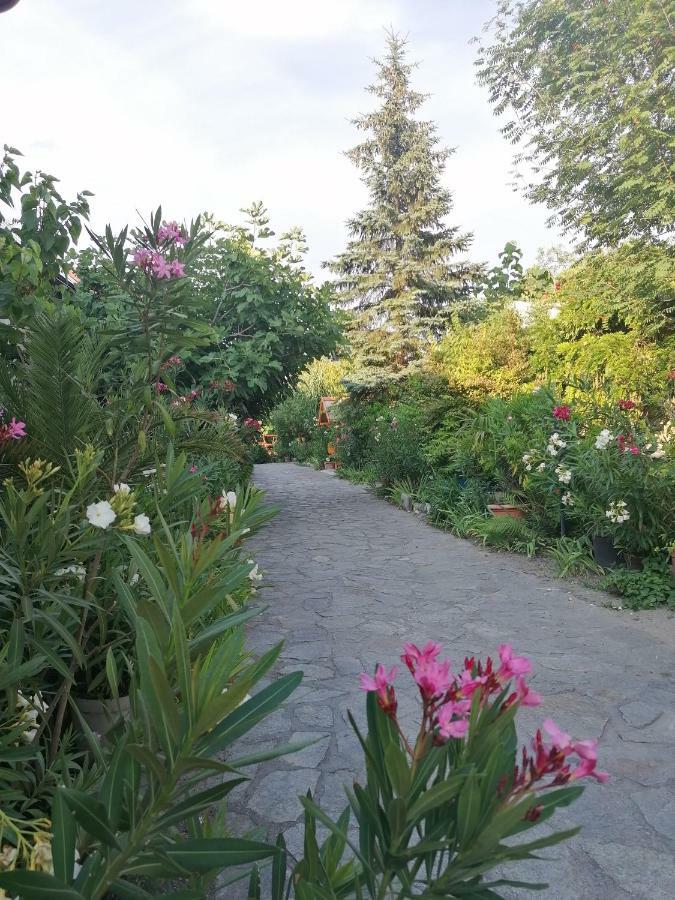 Szentesi Panzio Bed and Breakfast Fertőrákos Exteriör bild